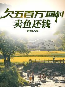 欠五百万回村：卖鱼还钱的封面
