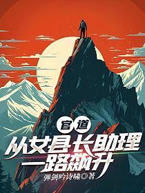 官道：从女县长助理一路飙升的封面