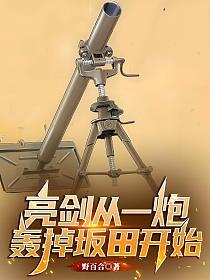 亮剑从一炮轰掉坂田开始的封面