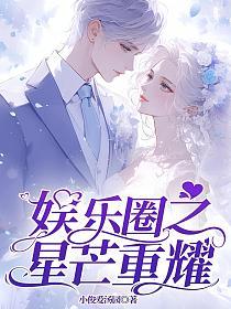 娱乐圈之星芒重耀的封面