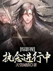 综影视执念进行中的封面