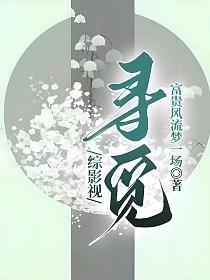 综影视寻觅的封面