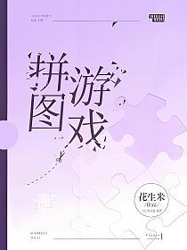拼图游戏的封面