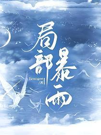 局部暴雨的封面