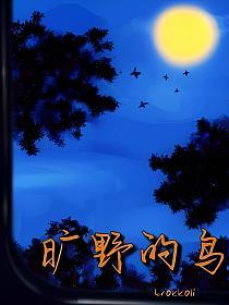 旷野的鸟的封面
