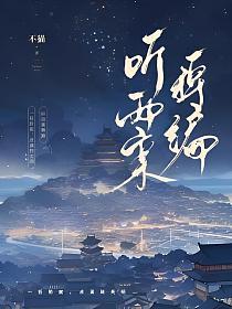 听雨案稗编的封面