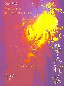 坠入狂欢的封面