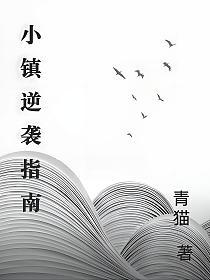 小镇逆袭指南的封面