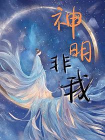 神明非我的封面