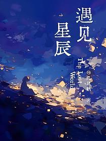 遇见星辰的封面