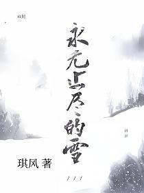 永无止尽的雪的封面