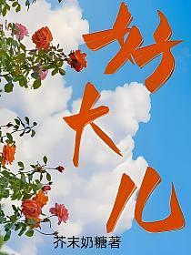 好大儿的封面