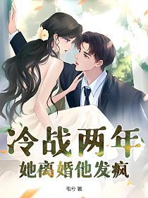 冷战两年,她离婚他发疯的封面