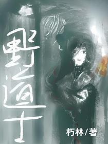 野道士的封面