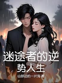 迷途者的逆势人生的封面