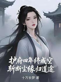 护府四年终成空，斩断尘缘归道途的封面