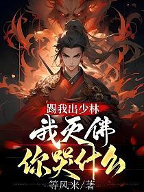 踢我出少林，我灭佛你哭什么的封面
