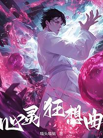 心灵狂想曲的封面