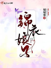 锦衣娘子的封面