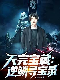 天完宝藏：逆鳞寻宝录的封面