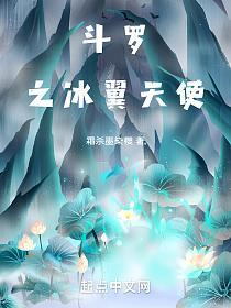 斗罗之冰翼天使的封面