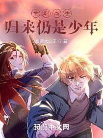 全职高手：归来仍是少年的封面