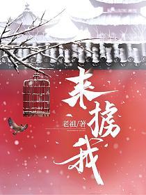 来掳我的封面