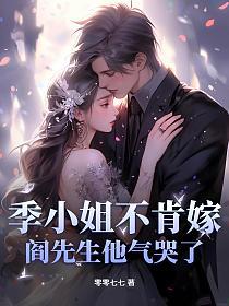 季小姐不肯嫁，阎先生他气哭了！的封面