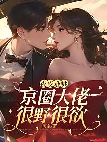 夜夜难哄：京圈大佬很野很欲的封面