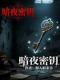 暗夜密钥的封面