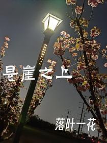 悬崖之上