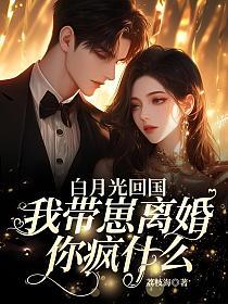 白月光回国，我带崽离婚你疯什么