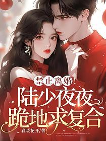 禁止离婚！陆少夜夜跪地求复合的封面
