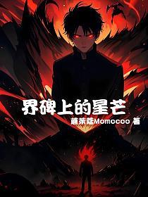 界碑上的星芒_1748347206的封面