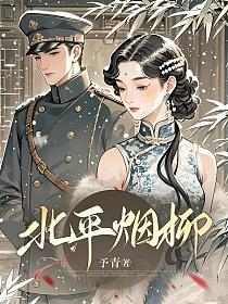 北平烟柳的封面