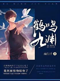 鹤鸣九渊的封面
