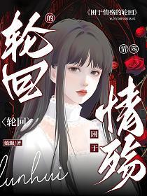 困于情殇的轮回的封面