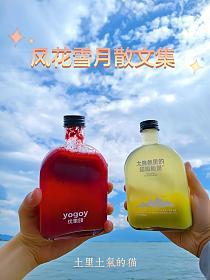 风花雪月散文集的封面