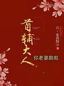首辅大人,你老婆跑啦!的封面
