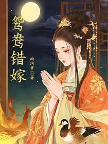 鸳鸯错嫁的封面