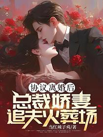 协议离婚后，总裁娇妻追夫火葬场的封面