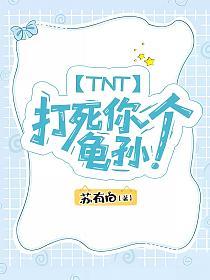 TNT：打死你个龟孙！的封面