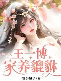 王一博：家养貔貅的封面