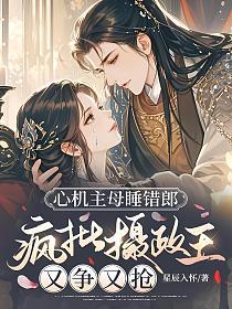 心机主母睡错郎，疯批摄政王又争又抢的封面