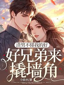 渣男不懂我的好，好兄弟来撬墙角的封面