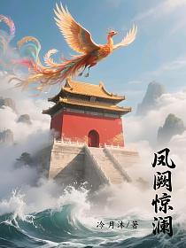 凤阙惊澜的封面