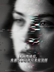 暴雨焚城后，我用气象站改写末日法则的封面