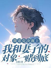斯诺克决赛上，我和妻子的对象一赌到底的封面