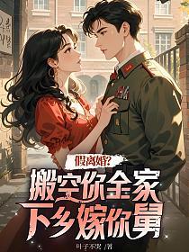 假离婚？搬空你全家下乡嫁你舅的封面