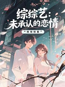 综综艺：未承认的恋情的封面